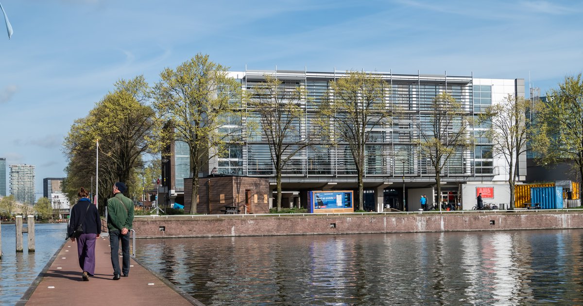 ams institute