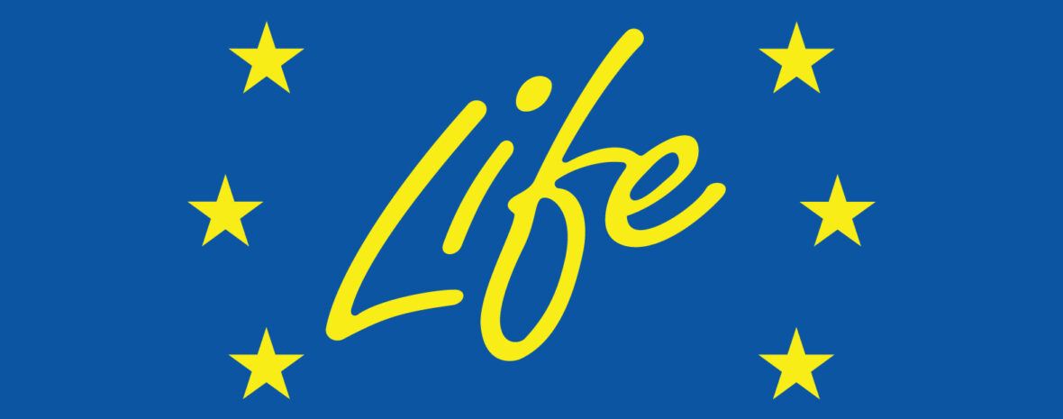 mai logo life 1 1